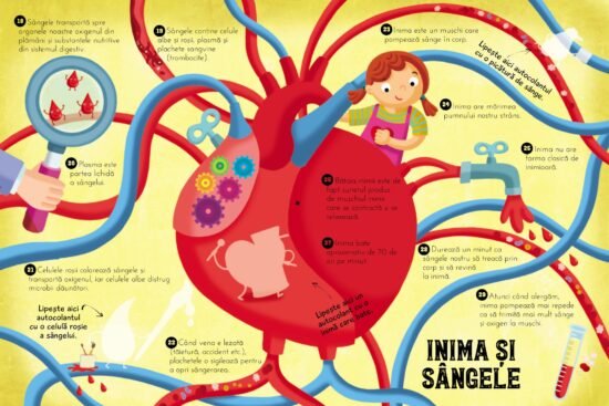 100 de curiozități despre corpul uman. Învață cu ajutorul autocolantelor.