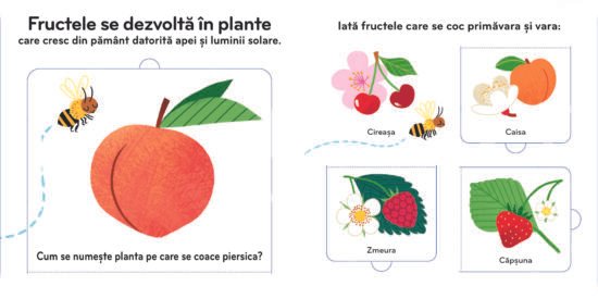 Fructele. Cartea mea cu ilustrații