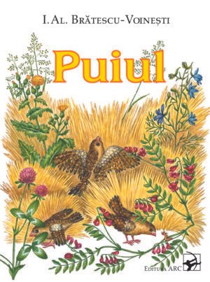 Puiul