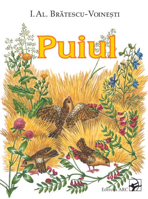 Puiul